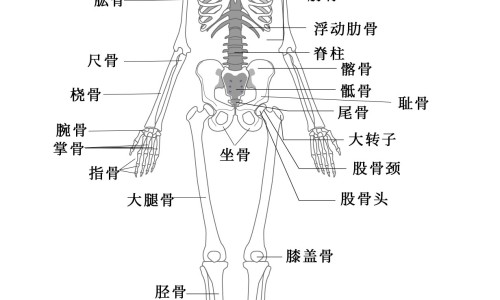 安徽亳州中药材价格网安徽亳州中药材价格表硼砂知识网站,分享亳州中药材今日批发价大全